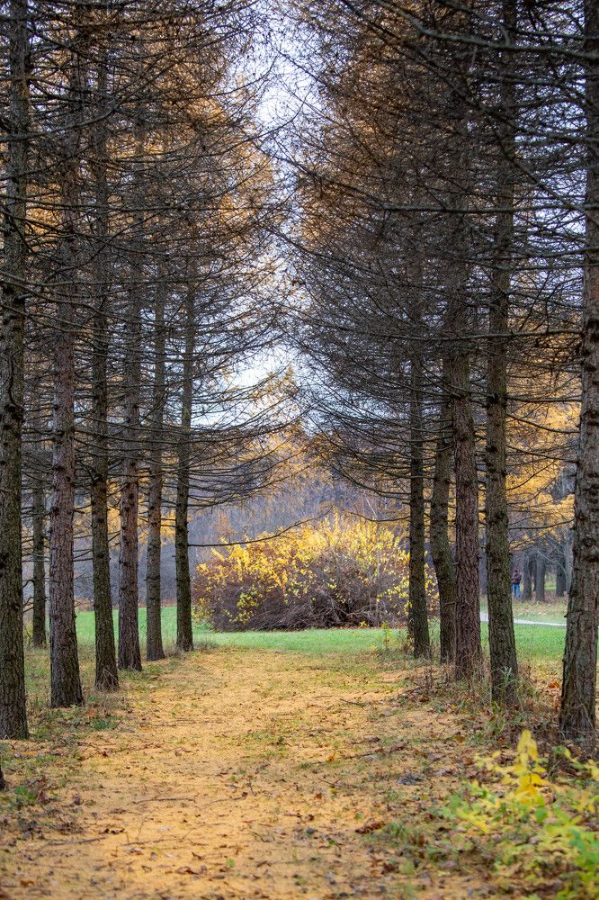 Photograph by Евгения Бочарова