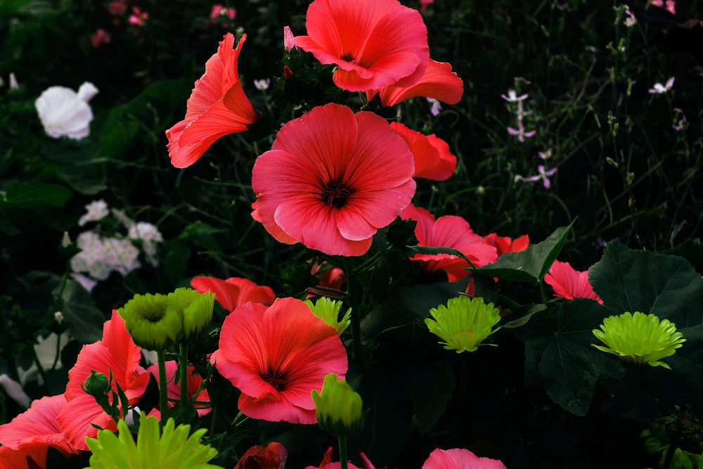 Photograph by Sветлана Афонина