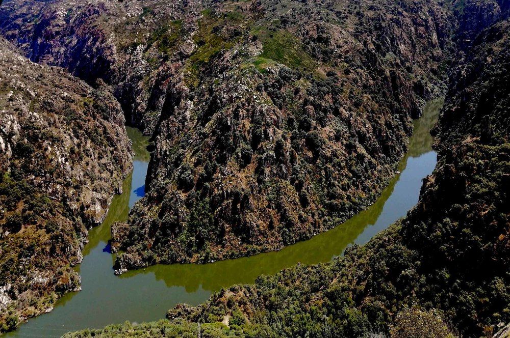 Photograph by JOSE LIMA RODRIGUES