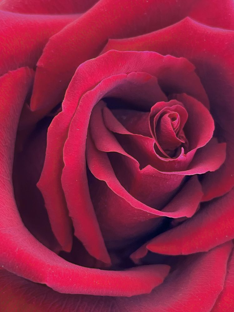 Фотография автора Рамзия Хисамутдинова