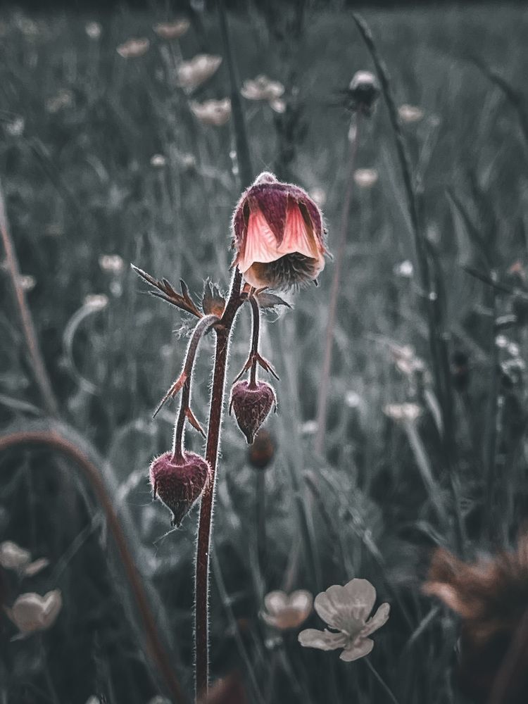 Photograph by Евгений Козырев