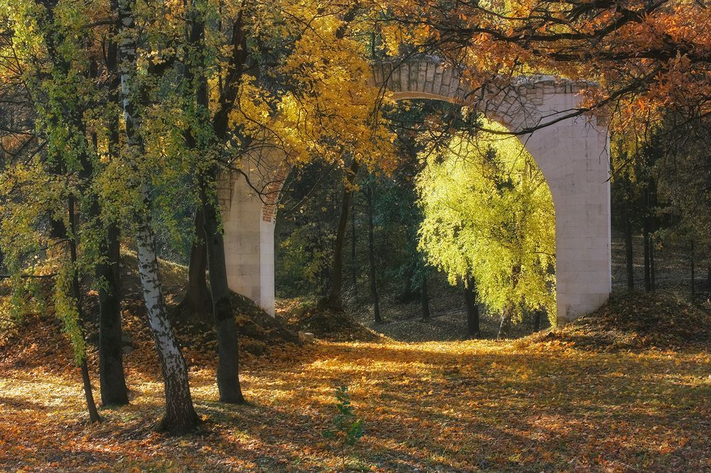 Photograph by Анна Цветковская