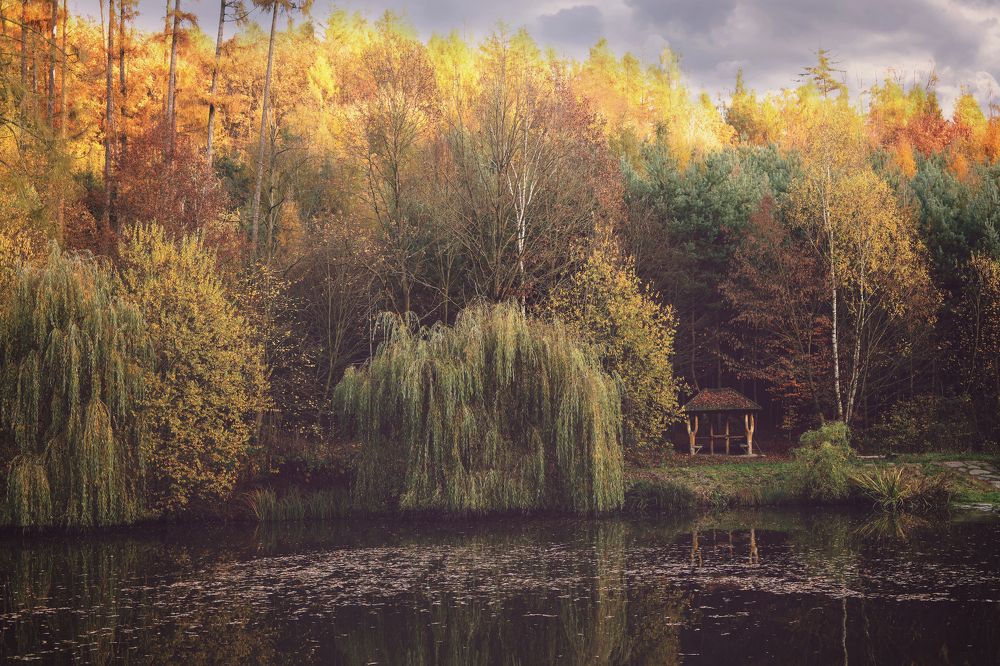 Photograph by Gabriela Ottova