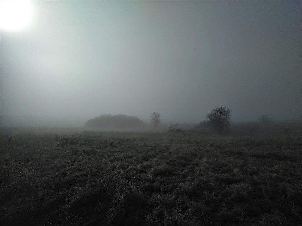 Photograph by SAFRON