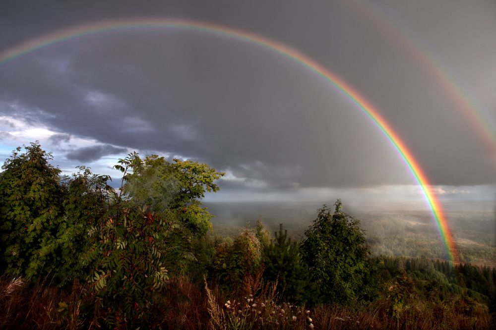 Photograph by федотов Алексей