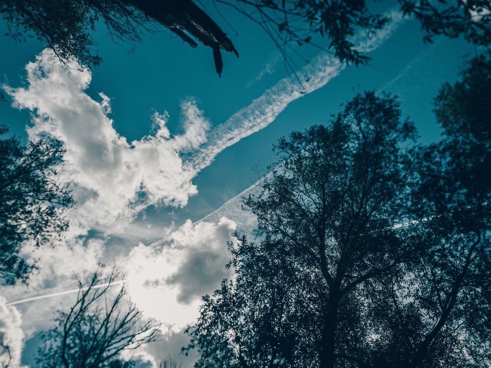 Photograph by Евгения Бицунова