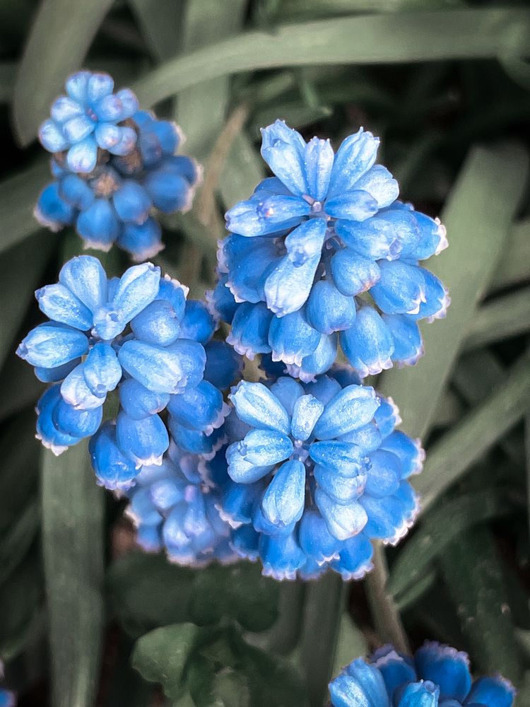 Фотография автора Anna NovaLova