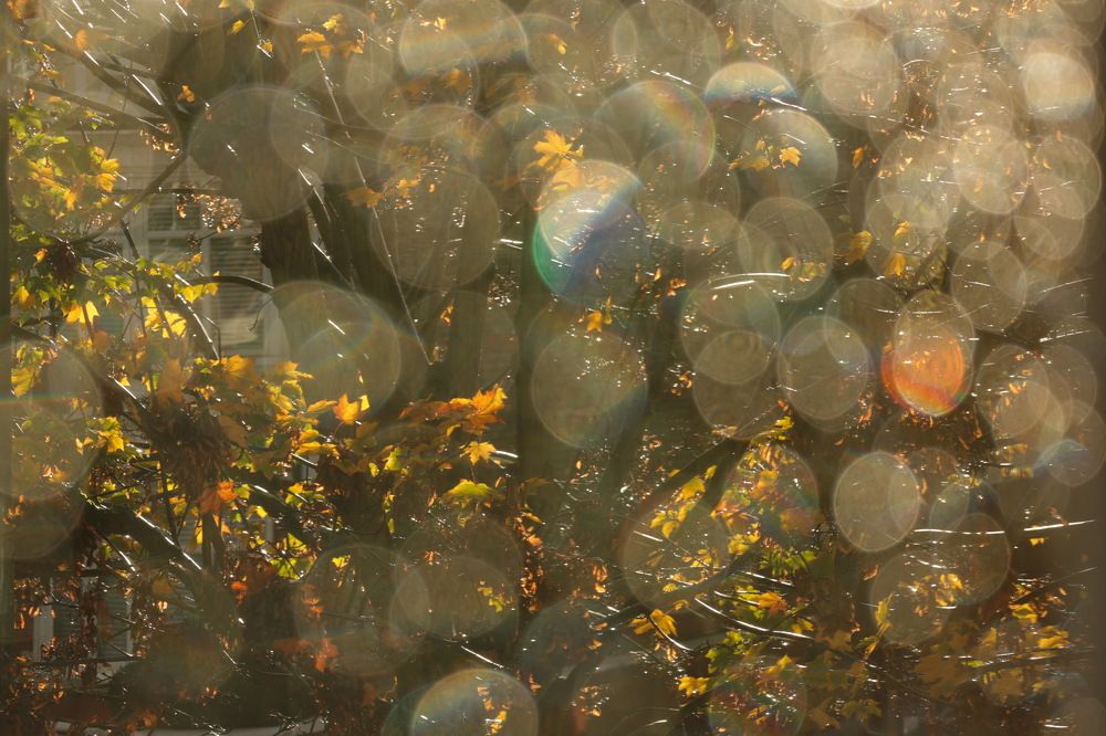 Photograph by Tatiana Serova