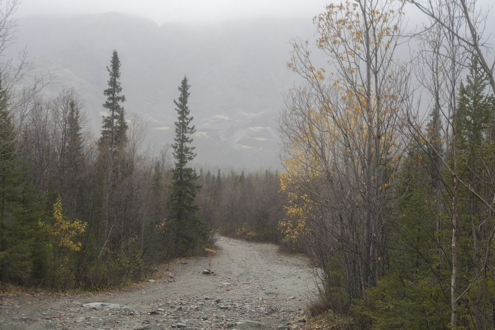 Photograph by Ирина Карелина