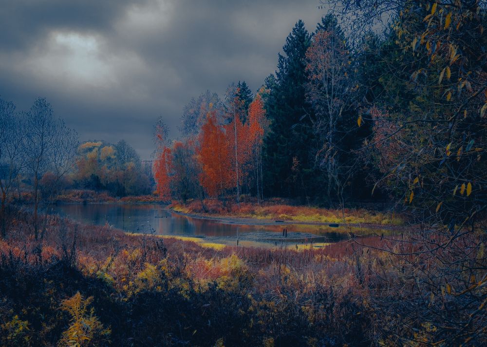 Фотография автора Алексей Звягинцев