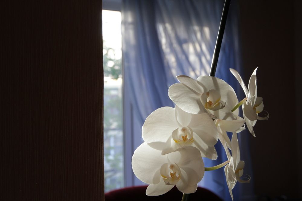 Фотография автора Татьяна Савранчук