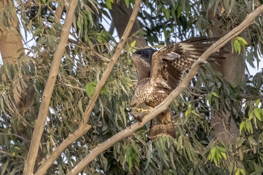 Фотография автора Nikolay Tatarchuk
