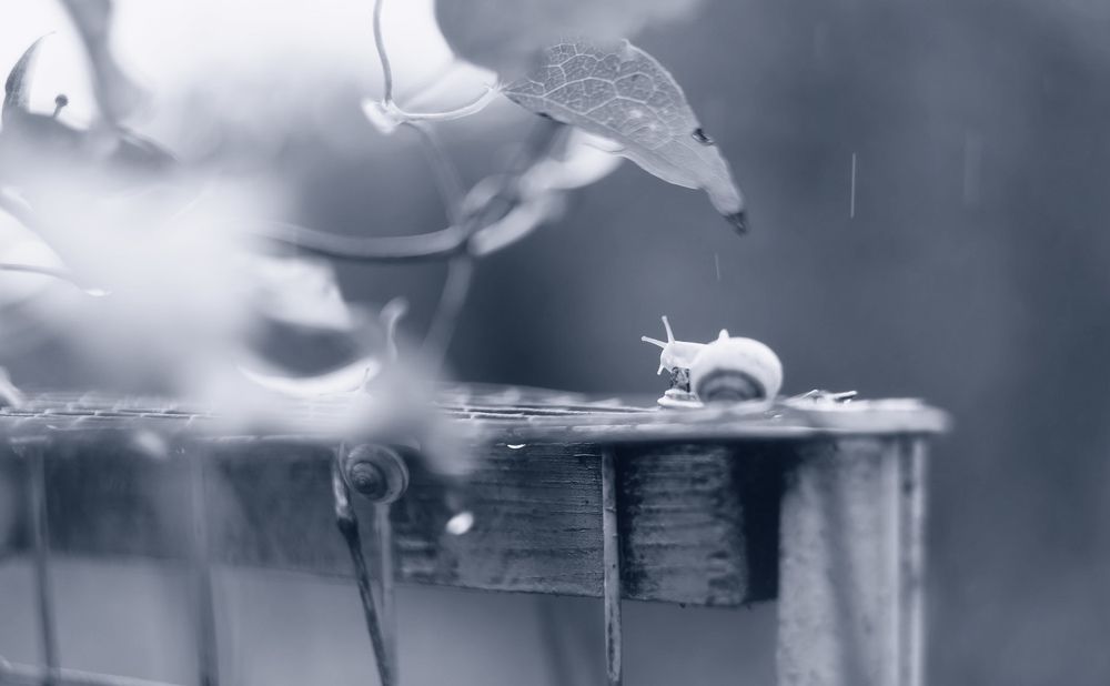 Photograph by Марина Кожевникова