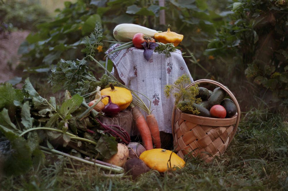 Photograph by Наталия Тарасова