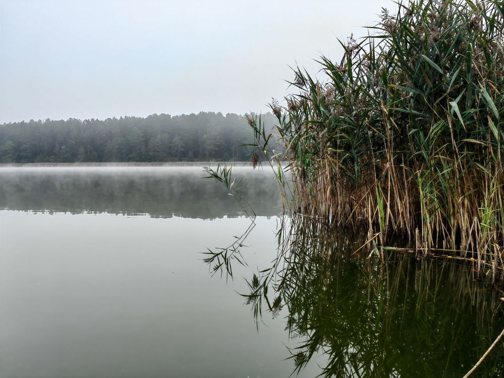 Photograph by Александр Максимов