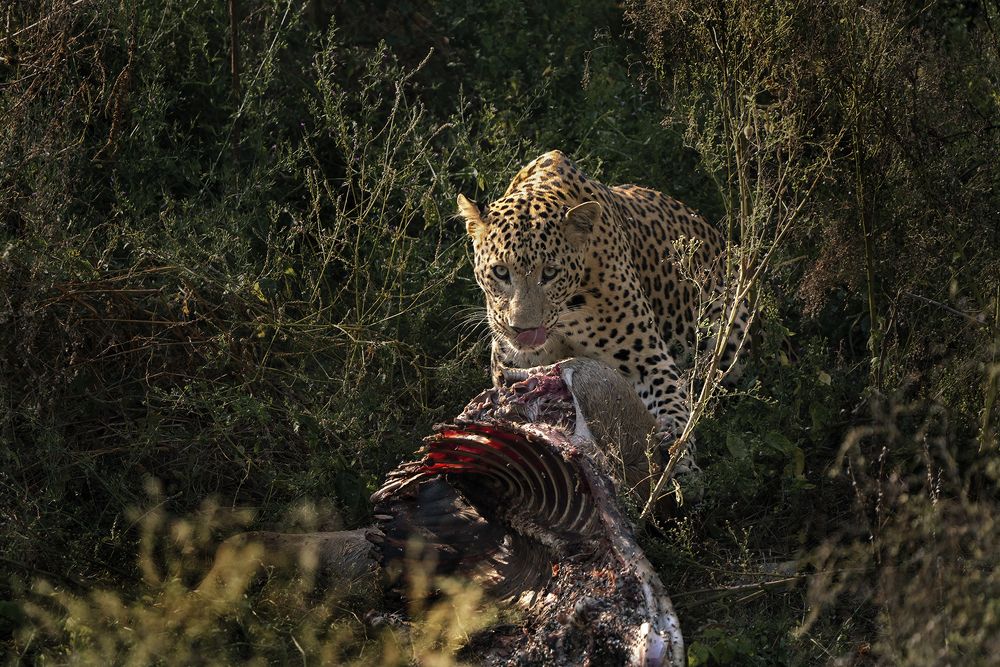 Photograph by Gurvinder Chhabra