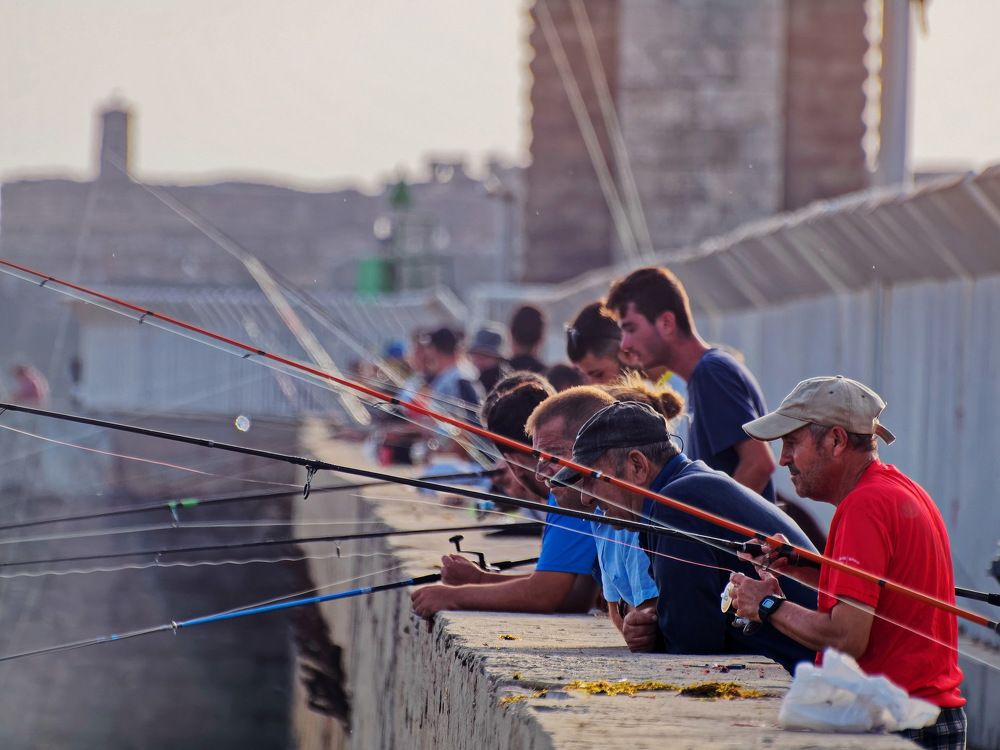 Photograph by Андрей Панин