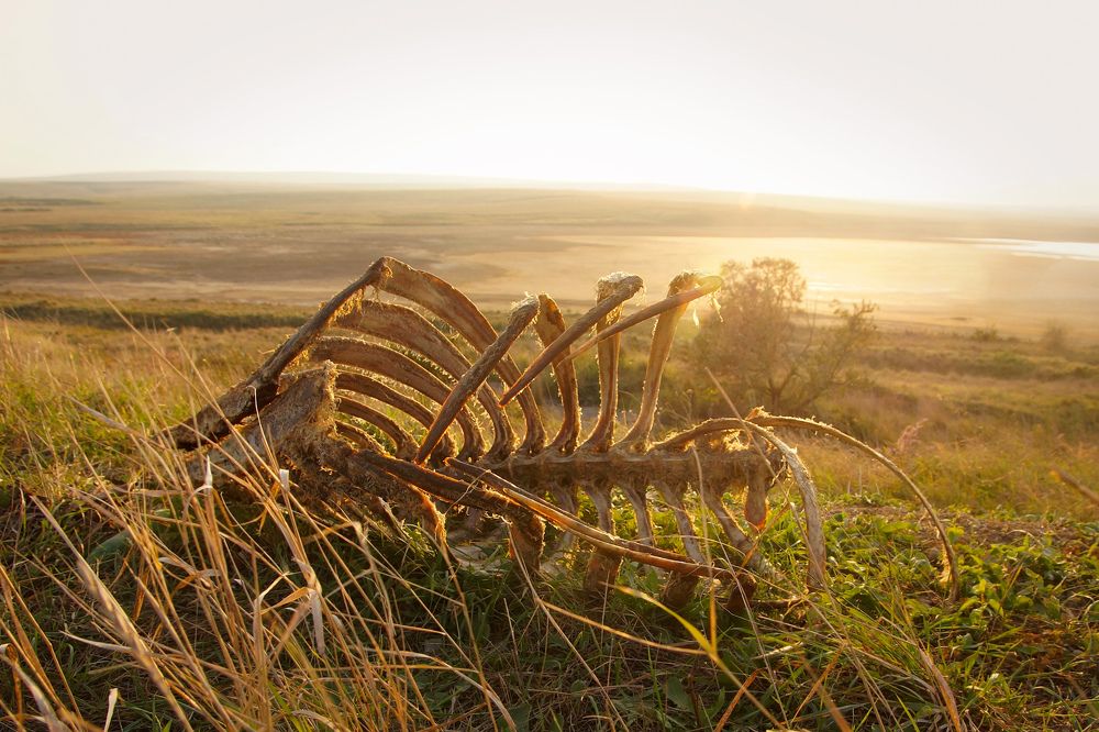 Photograph by Сергей Арямов