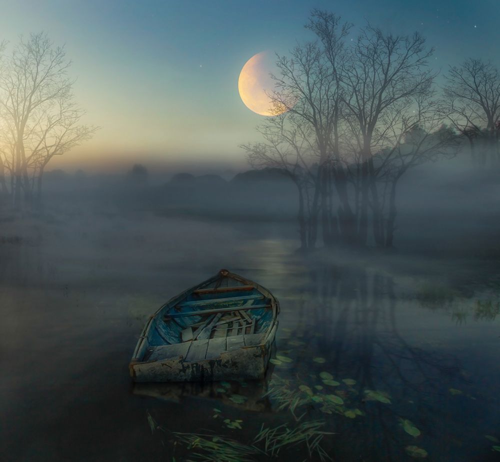 Photograph by Елена Рубинская