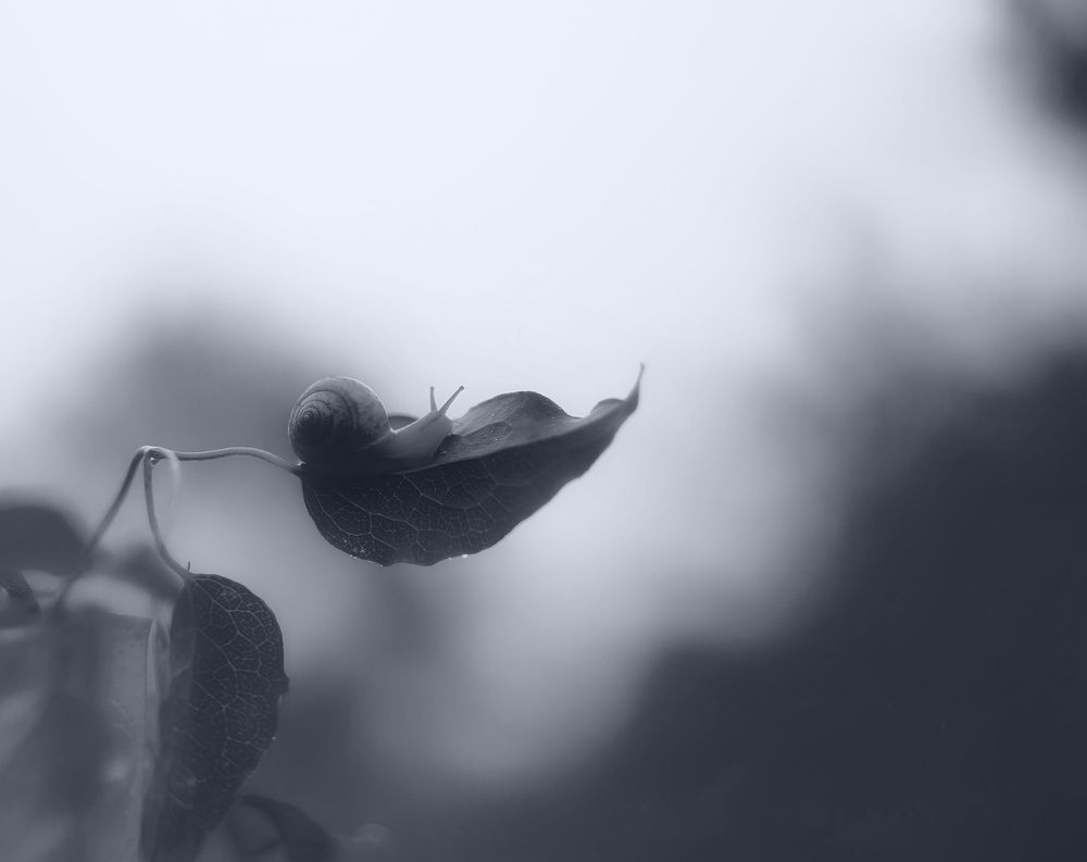 Photograph by Марина Кожевникова