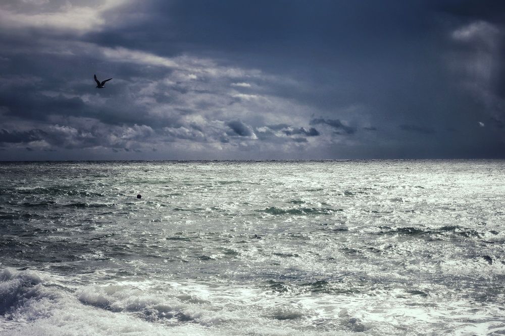 Photograph by Инна Карасева