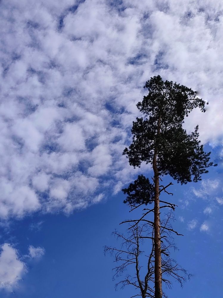 Photograph by Ольга Сучкова