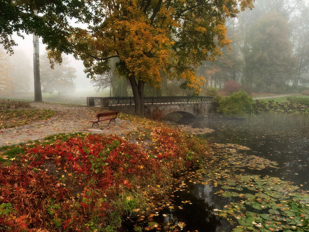 Photograph by Марина Брыдня