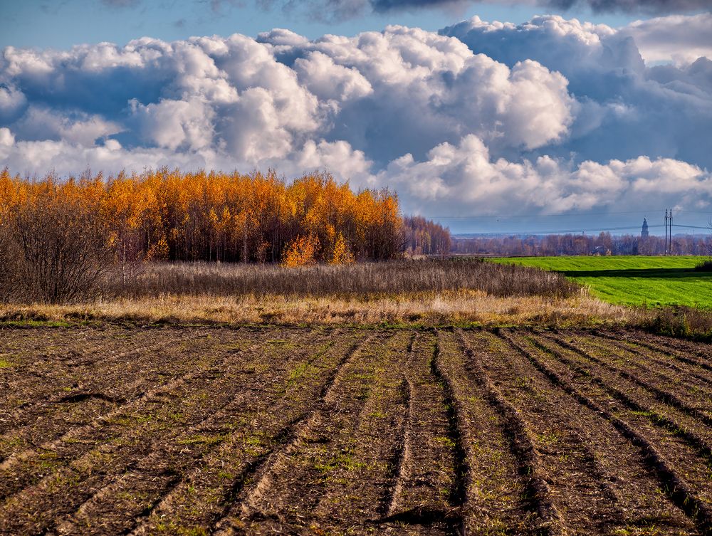 Photograph by Владимир Перепечаев