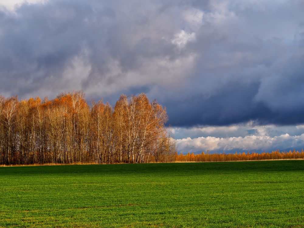 Photograph by Владимир Перепечаев