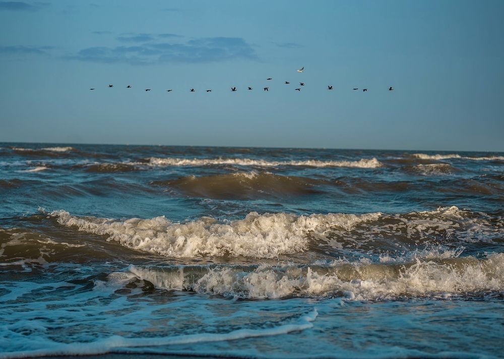 Фотография автора Helena Ivanova