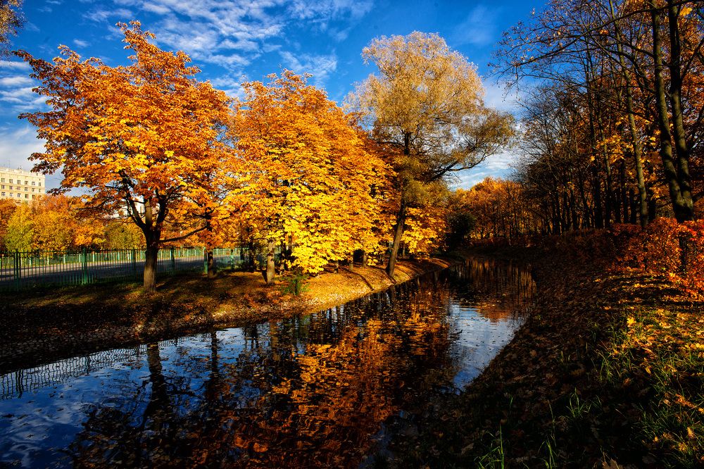 Photograph by Александр Максимов