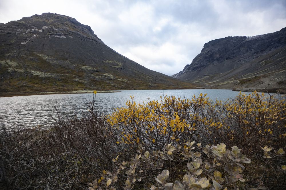 Photograph by Ирина Карелина