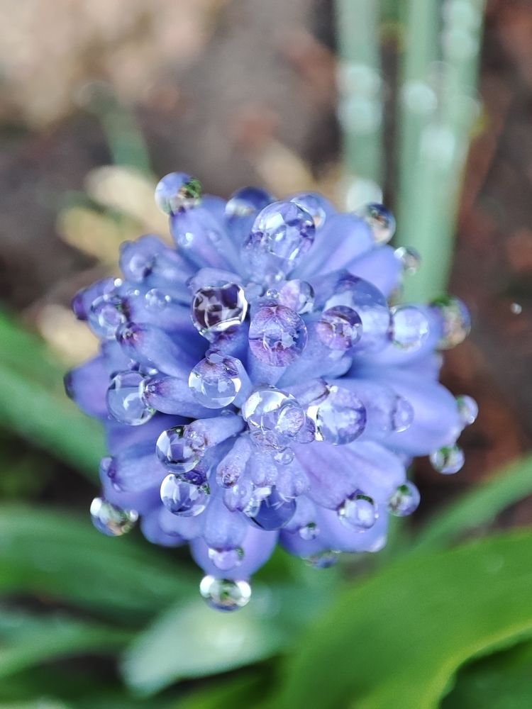 Photograph by Ольга Сучкова