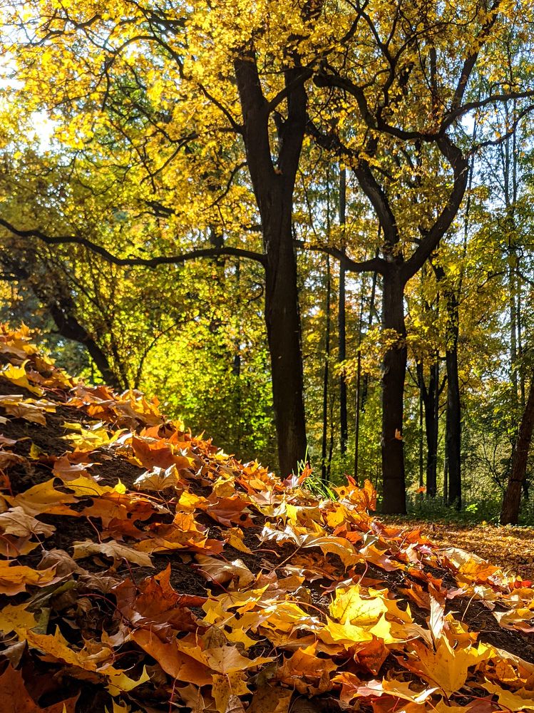 Photograph by Екатерина Абрамова
