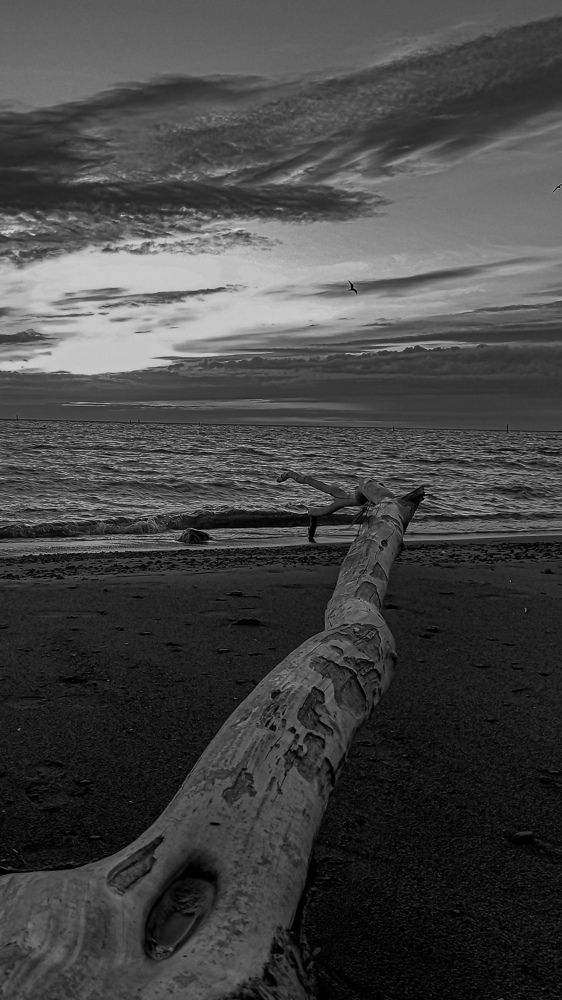 Фотография автора Михаил