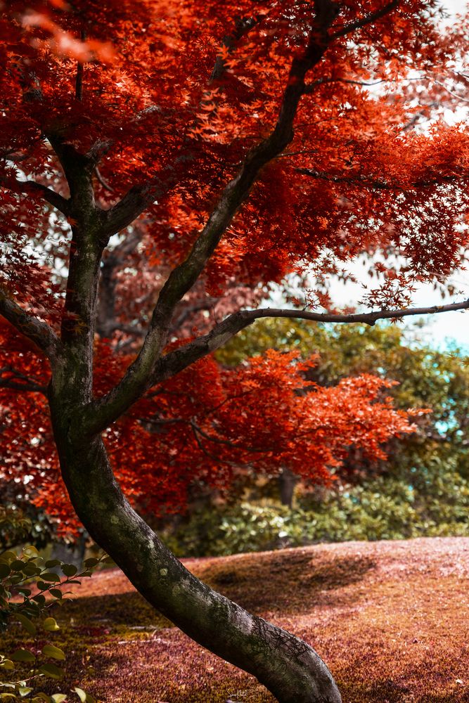 Photograph by Sana Khalid