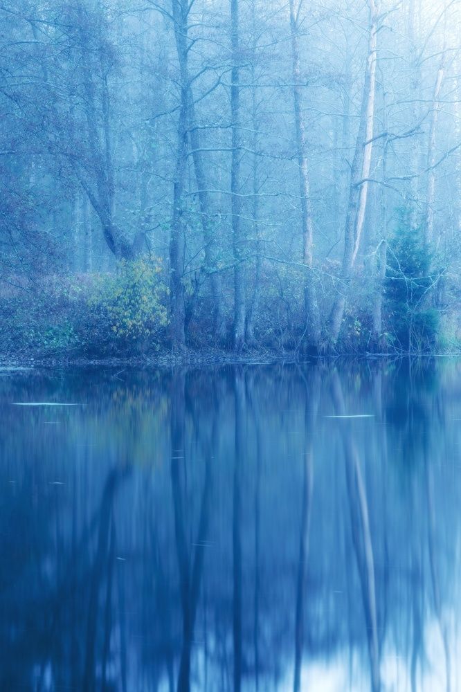 Фотография автора Андрей Врубель