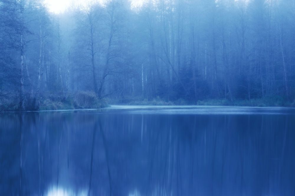 Фотография автора Андрей Врубель