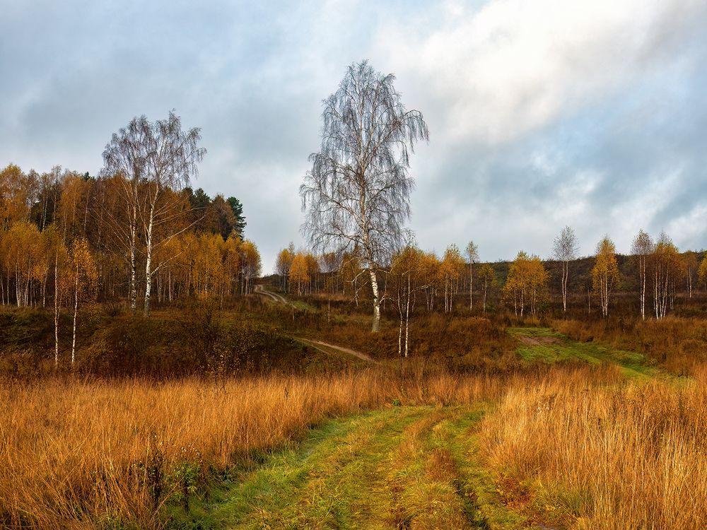 Photograph by Марина Брыдня