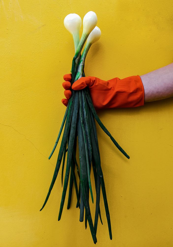 Photograph by Svetlana Yurasova