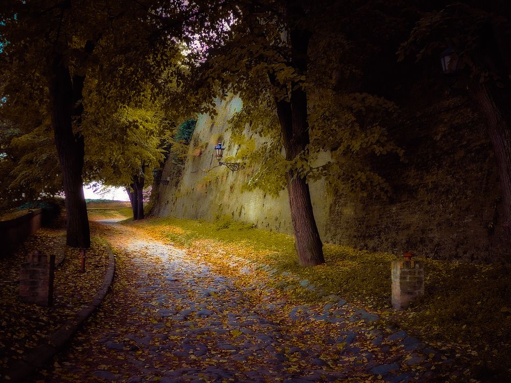 Photograph by Dragan Jekić