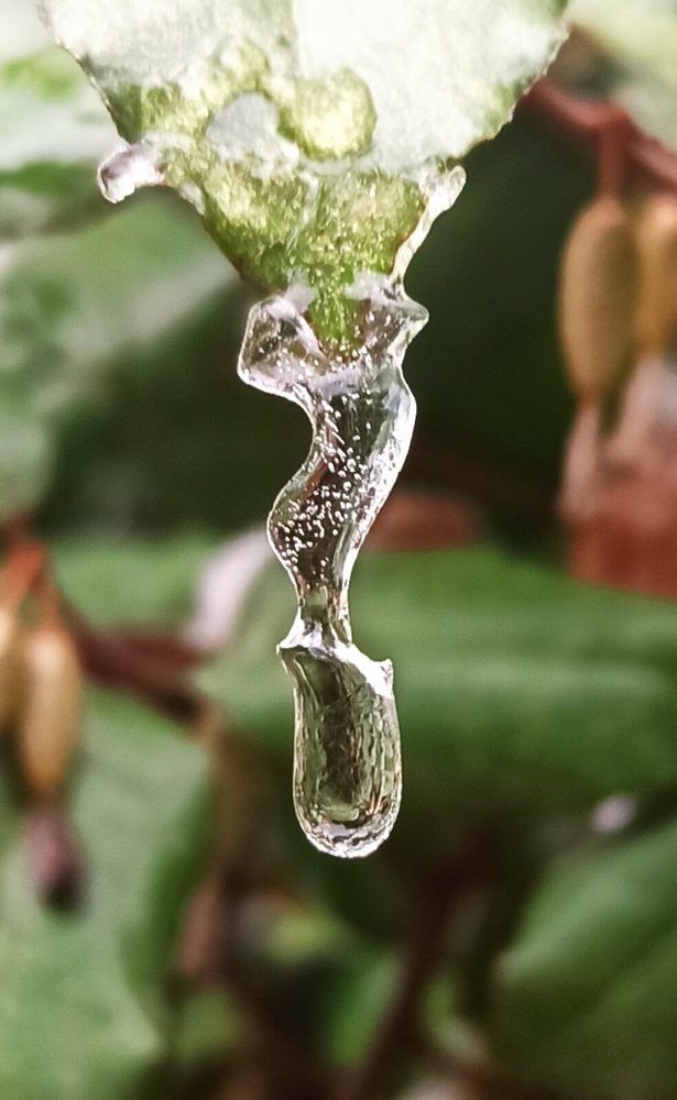 Photograph by Тихонова Ольга