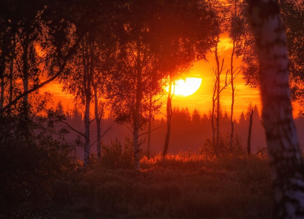 Фотография автора Андрей Врубель