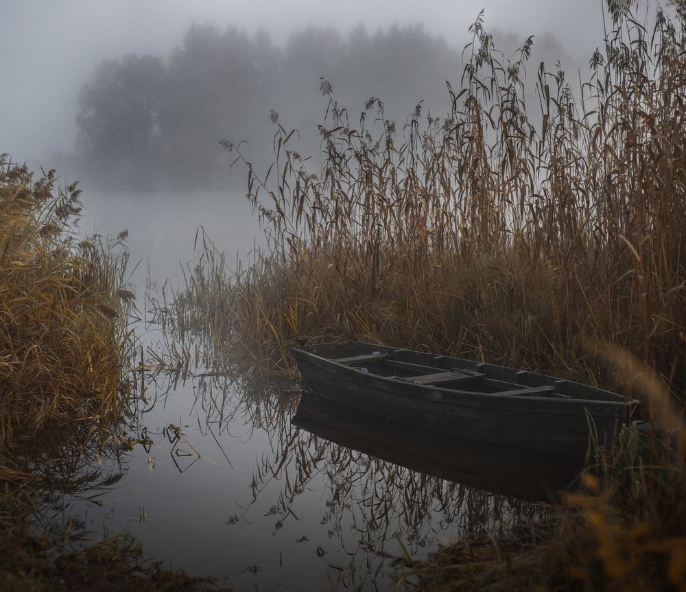 Photograph by Елена Фокина