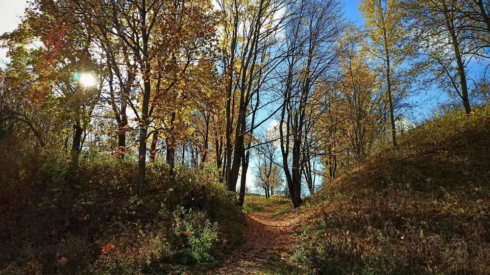 Золотой октябрь