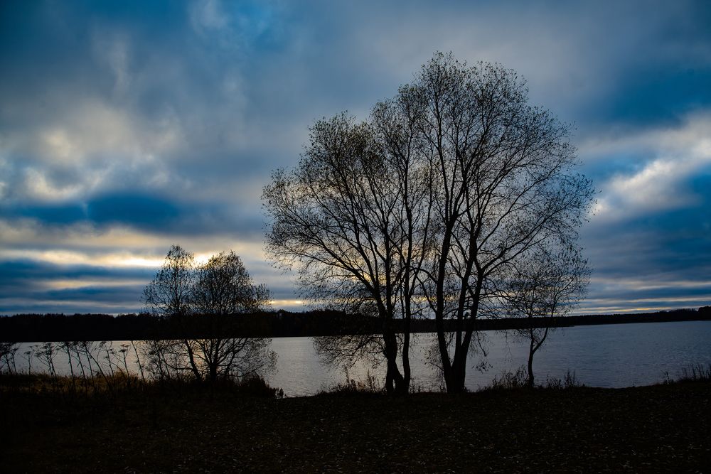 Фотография автора Войнов Дмитрий