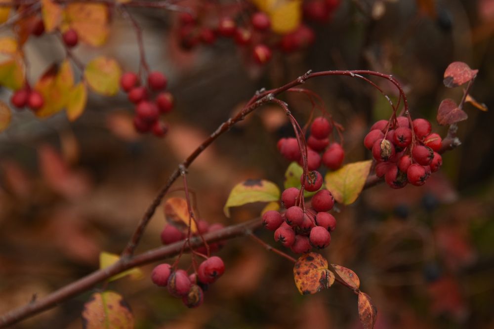 Photograph by Светлана Войта
