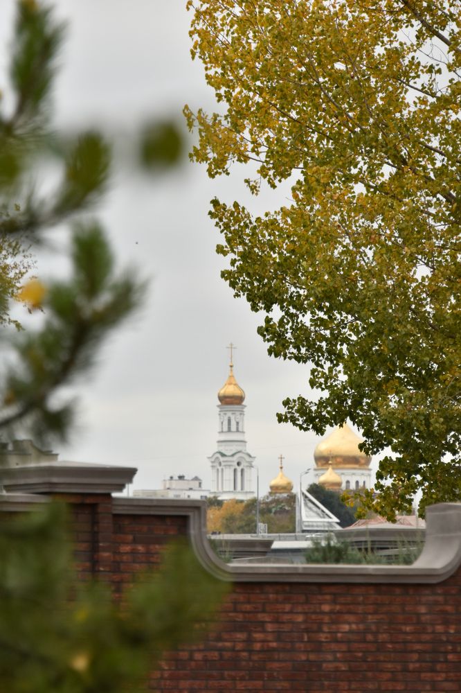 Photograph by Светлана Войта