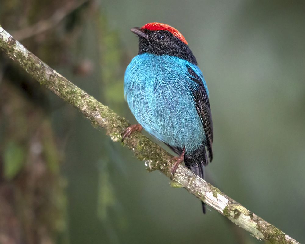 Photograph by Joao R Cortez