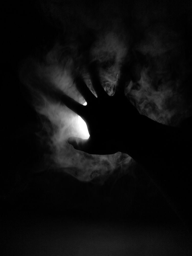 Photo #8308767